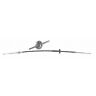 4020-552-686 Goodmark Auto Transmission Shift Cable Fits Chevy Camaro 615343772547