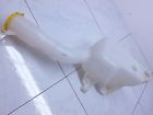 P04805737aa 04806009aa Dodge Charger Oem Windshield Washer Reservoir Wind Shield