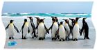 U16452 Uncle Milton National Geographic Wild Panorama Puzzles Pieces 696745658424