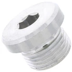 PAF008528 Genuinexl Automatic Transmission Case Plug For Porsche 718 Cayman 911. Fixed Price $38.69.