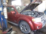 Escape 2008 Transmission Shift 2074408. Fixed Price $65.00.