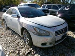 Maxima 2012 Transmission Shift 2177934. Fixed Price $169.64.