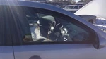 2010-16 Kia Sportage Passenger Right Front Side Window Door Glass Oem 824213W000. Fixed Price $138.94.