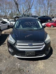 2017 Ford Escape Transmission Shift Oem. Fixed Price $72.00.