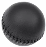 Oer Black Leather Manual Transmission Shift Knob 1982-2002 Firebird And Camaro. Fixed Price $89.98.