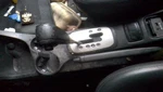 Shifter Sportage 2009 Transmission 31681485. Fixed Price $104.55.