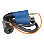 Ignition Coil For Suzuki Ltf 250 Quadrunner 4X4 Manual 1995 1996 1997 1998. Fixed Price $25.37.