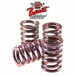Barnett Clutch Spring Kit For 1996-2005 Kawasaki VN800B Vulcan Classic Ve. Fixed Price $36.32.