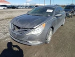 Sonata 2013 Transmission Shift 10497872. Fixed Price $66.02.