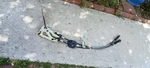 2004-06 Scion Xb Manual Transmission Shifter Gear Box & Cables 5SP. Fixed Price $259.95.