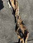04670291 Neon Automatic Transmission Shifter Cable Mopar Oem. Fixed Price $145.00.