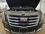 16 17 18 19 20 Cadillac Escalade Front Upper Bumper Grille Assembly. Fixed Price $487.40.