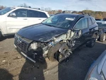 Used Automatic Transmission Shift Lever Assembly Fits: 2022 Hyundai Tucson Korea. Fixed Price $159.90.
